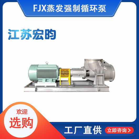 FJX蒸發(fā)強(qiáng)制循環(huán)泵