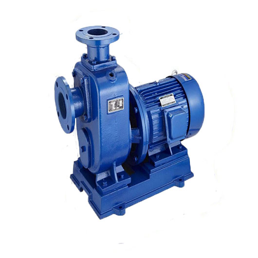 ZW型無(wú)堵塞排污泵